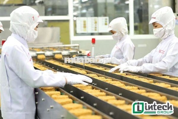 CÓ LƯƠNG TUẦN-18-54T-SX MÌ GÓI-Q12-HCM-355-400K