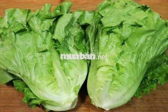 Cần tìm người nhặt rau, xắt thịt 