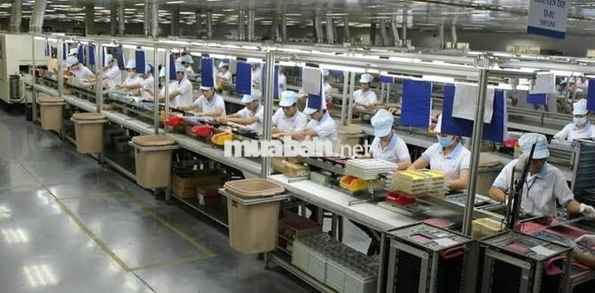 Tuyển 30 Lao Động Phổ Thông – Mega Step VSIP 1