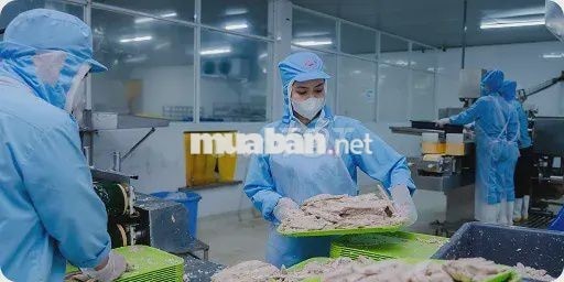 BỔ SUNG NHÂN VIÊN CHẾ BIẾN CÁ NGỪ ĐÓNG HỘP