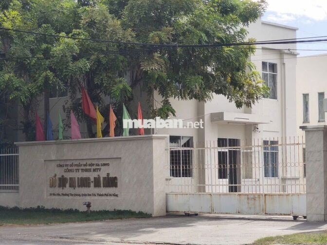 TUYỂN DỤNG NHÂN VIÊN CHẾ BIẾN ĐỒ HỘP TẠI SƠN TRÀ