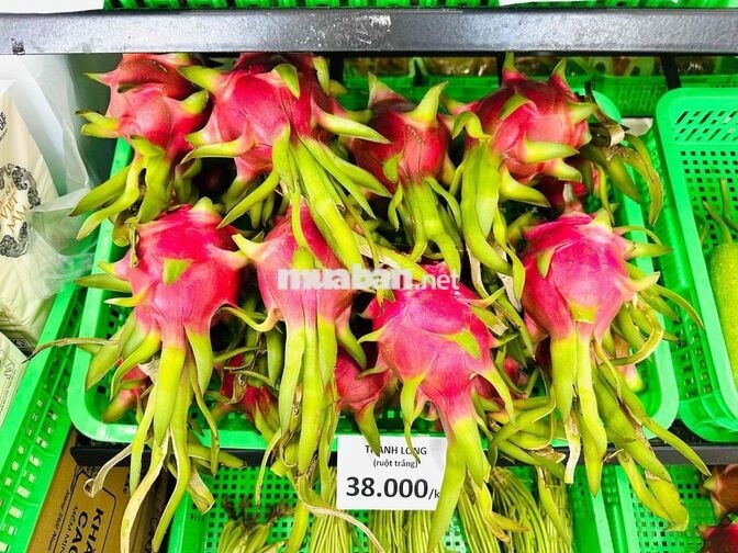 CẦN TUYỂN NHÂN VIÊN BÁN HÀNG