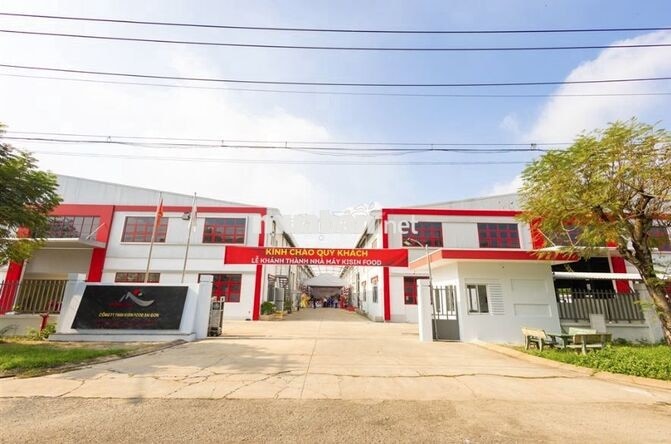 CẦN 20 CÔNG NHÂN SẢN XUẤT+TẠP VỤ (SX BÁNH)