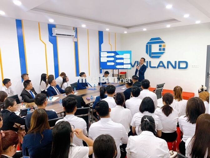 BDS Viciland tuyển TPKD có đội nhóm chính sách tốt