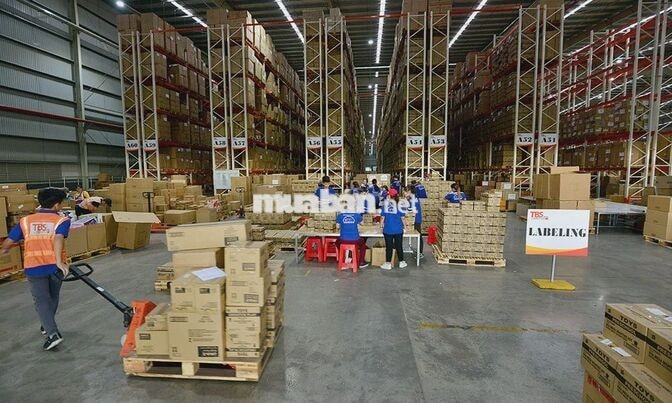 L&A - Tuyển Lái Xe Nâng - 9-12TR - Thưởng Tết, T13