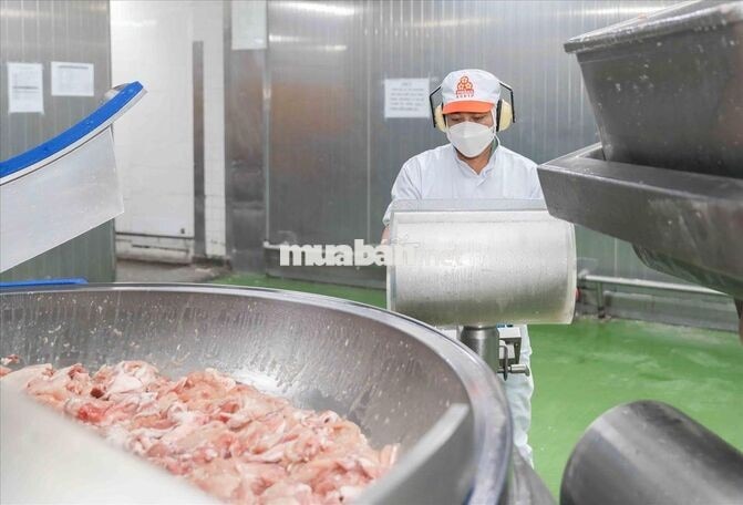 ĐÓNG GÓI CHẾ BIÊN -LÚA TUẦN -BAO CƠM - THƯỞNG 2TR2