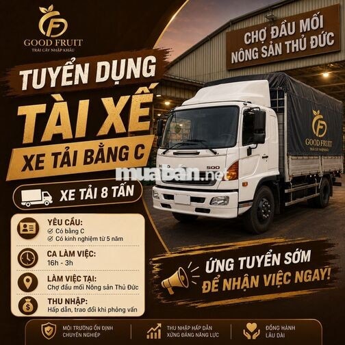 TÀI XẾ XE TẢI 8 TẤN CA ĐÊM BẰNG C, D