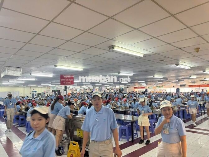 TUUYỂN LĐPT_QUẬN 7_BAO ĂN, Ở & ĐI LẠI_CHÍNH THỨC