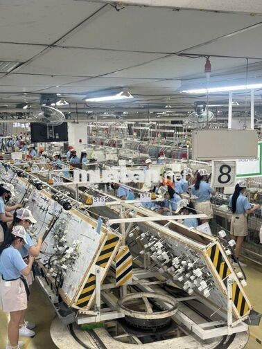 TUUYỂN LĐPT_QUẬN 7_BAO ĂN, Ở & ĐI LẠI_CHÍNH THỨC