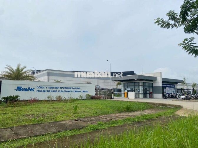 🧧🔥 2. FOXLINK ĐÀ NẴNG – TUYỂN NAM/NỮ 🔥🧧