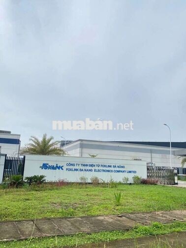 🧧🔥 2. FOXLINK ĐÀ NẴNG – TUYỂN NAM/NỮ 🔥🧧