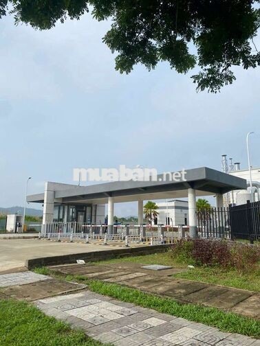 🧧🔥 2. FOXLINK ĐÀ NẴNG – TUYỂN NAM/NỮ 🔥🧧