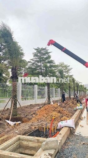 TUYỂN 01 tài xế xe cẩu bằng C bao ăn ở