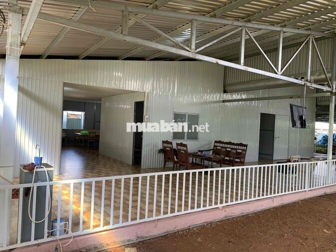 TUYỂN CÔNG NHÂN NUÔI GÀ CÔNG NGHIỆP