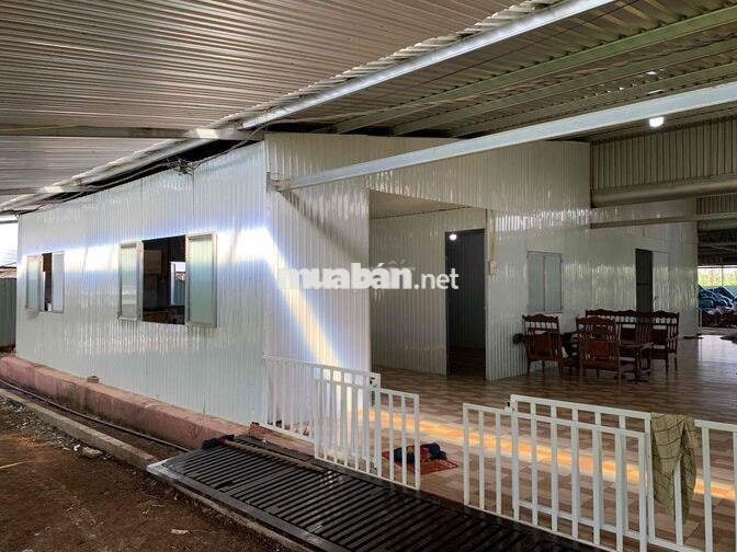 TUYỂN CÔNG NHÂN NUÔI GÀ CÔNG NGHIỆP