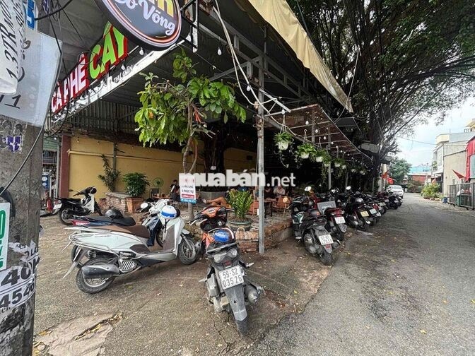Cà Phê Cây Si Tuyển Dụng Phục Vụ-Pha Chế