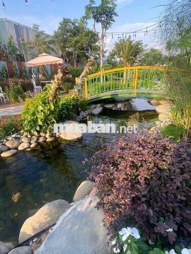 tuyển nhân viên phục vụ , và nhiều vị trí