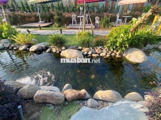 tuyển nhân viên phục vụ , và nhiều vị trí