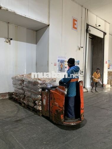 [THỦ ĐỨC] Nhân Viên Kho Chia Hàng - KHÔNG Y/C KN