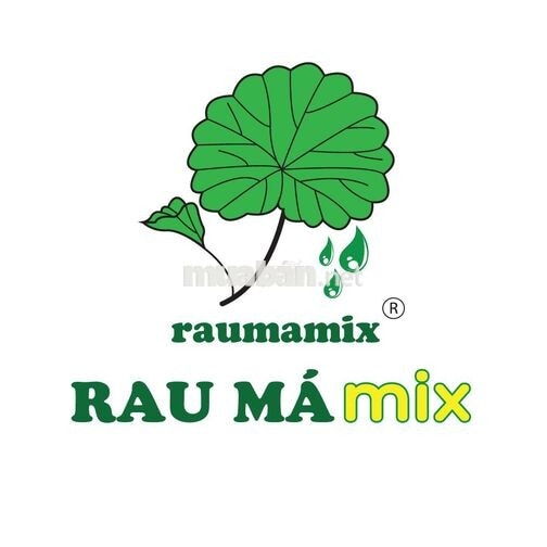[Hồ Tùng Mậu-Q1] - Nhân viên Part-time Rau Má Mix