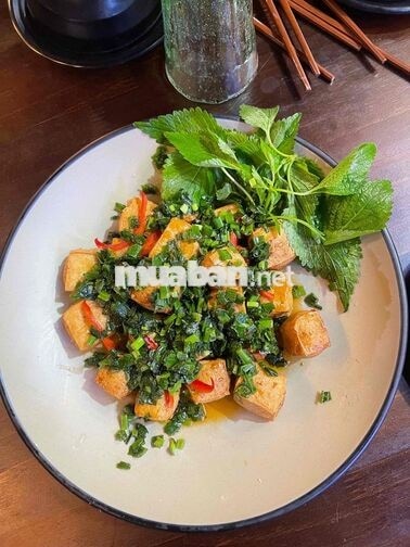 TUYỂN NHÂN VIÊN PHỤC VỤ QUÁN NHẬU