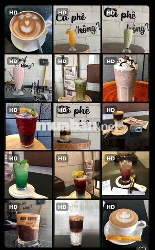 tìm đồng đội pha chế và phục vụ