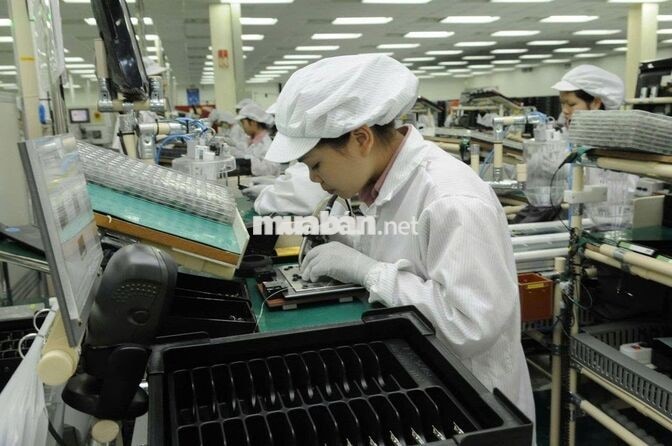 NHÂN VIÊN SẢN XUẤT LINH KIỆN ĐIỆN TỬ 