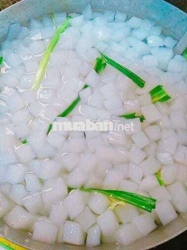Tuyển công nhân sản xuất thạch dừa tại Tp Bến Tre