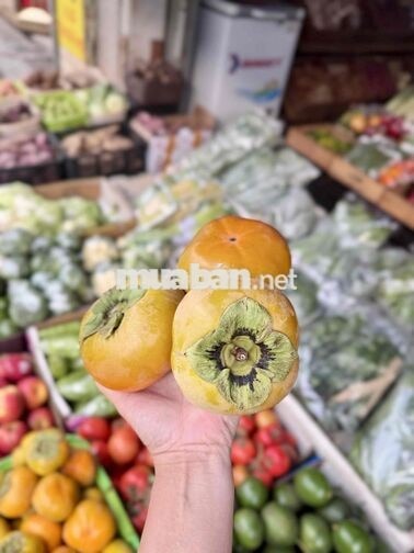 NHÂN VIÊN BÁN HÀNG RAU CỦ TẾT TẠI PHÚ NHUẬN
