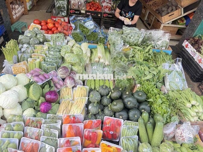 NHÂN VIÊN BÁN HÀNG RAU CỦ TẾT TẠI PHÚ NHUẬN