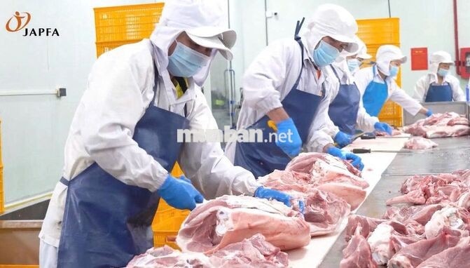 (Đồng An 2) JAPFA TUYỂN 50 LDPT PHA LÓC THỊT HEO 