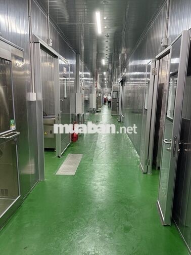 NHÂN VIÊN GIA CÔNG CHẾ BIẾN LONG AN