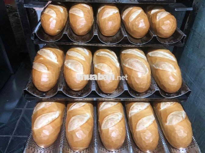 bánh mì lão béo tuyển bạn nam giao bánh bao ăn ở