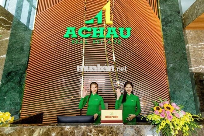 Tuyển nhanh 20 CVKD đi làm ngay