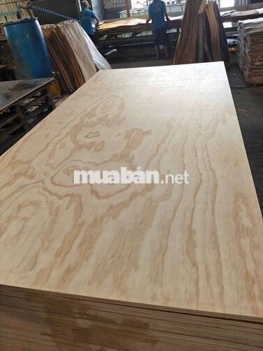 NHÂN VIÊN LAO ĐỘNG PHỔ THÔNG THỦ DẦU MỘT