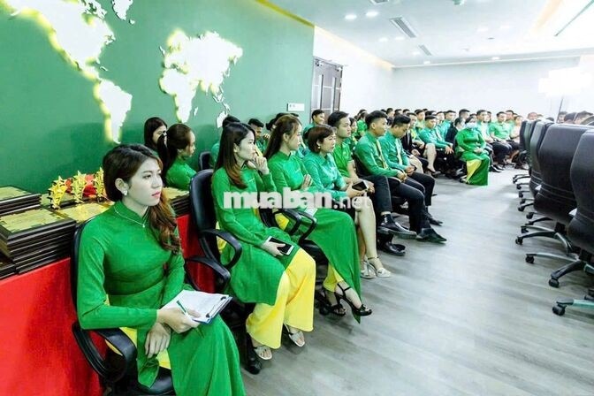 Tuyển nhanh 20 CVKD đi làm ngay