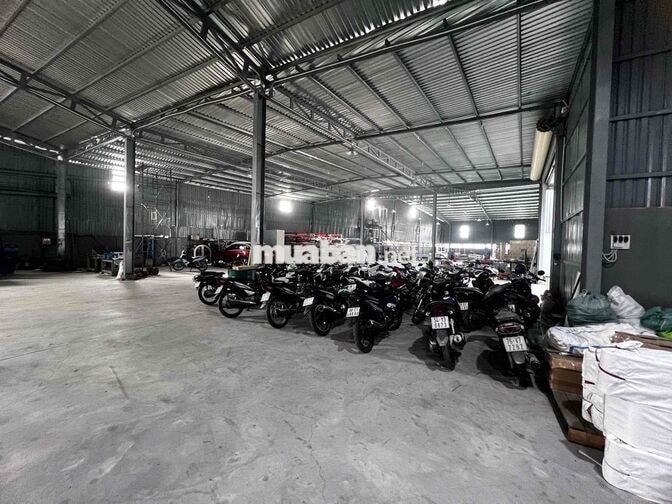*** 5 NAM LAO ĐỘNG PHỔ THÔNG LV TẠI HÓC MÔN