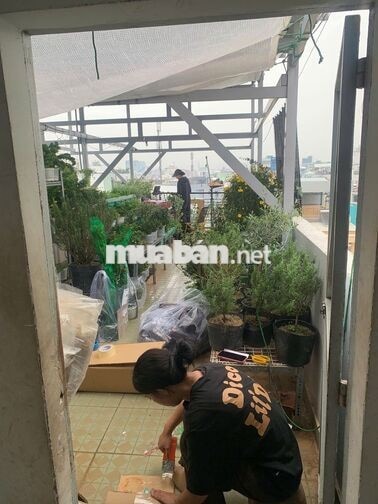 Tuyển Quản Lý Kho & Soạn Đơn Cây Cảnh Q.10 HCM