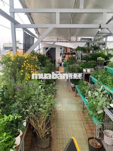Tuyển Quản Lý Kho & Soạn Đơn Cây Cảnh Q.10 HCM