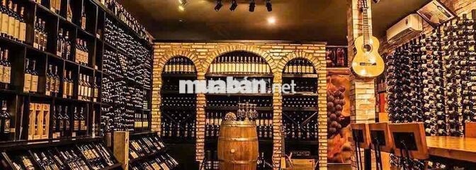 Tuyển lái xe B2 cho Sếp