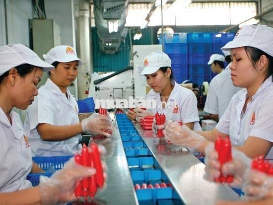 THỜI VỤ LƯƠNG TUẦN TẠI BÌNH THẠNH, GÒ VẤP