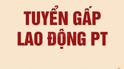 TUYỂN TẠP VỤ NAM NỮ TẠI BÌNH DƯƠNG