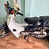 Honda Cub 2004 Xanh Xe số