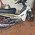 Yamaha Sirius Trắng Xe số