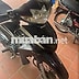 Honda Wave Đen Thể thao