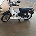 Honda Wave Alpha 2024 Trắng Nâu