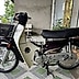 Honda Super Dream 2014 Nâu Trắng
