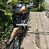 HONDA WAVE 100 2012 NÂU ĐEN