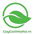 logo-organization